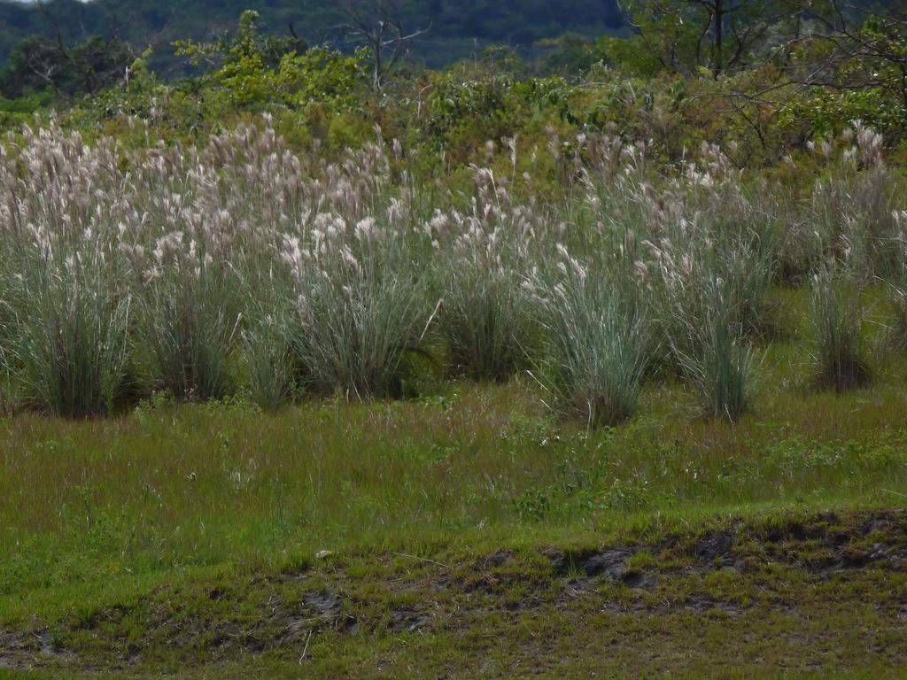 Pousada Vovo Alice Serra do Cipo National Park Bagian luar foto